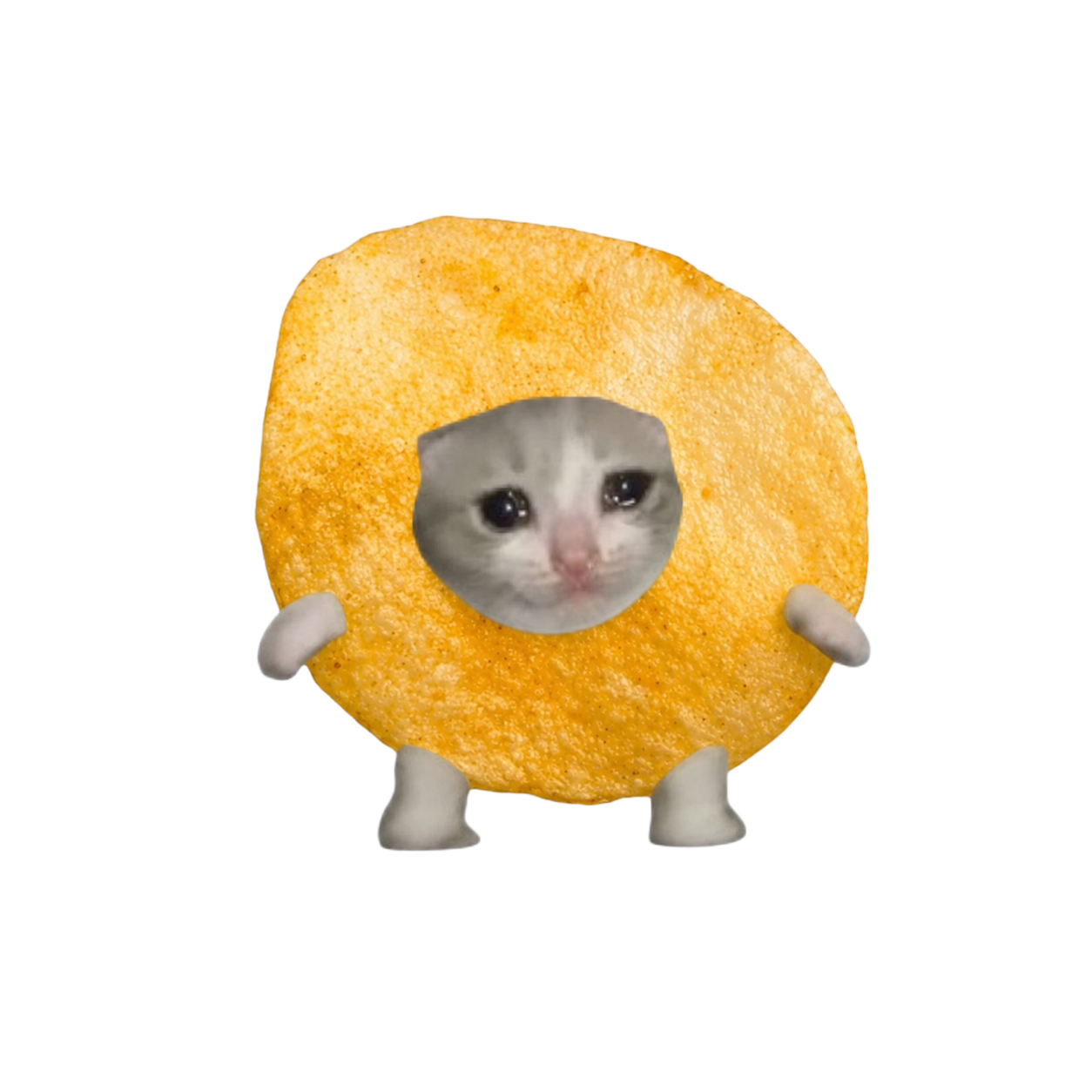Catato Chip
